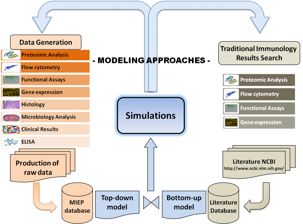 High Performance Computing | Nutritional Immunology and Molecular